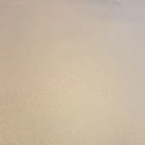 Exclusive Golden Glitter Sustainable Leather Fabric