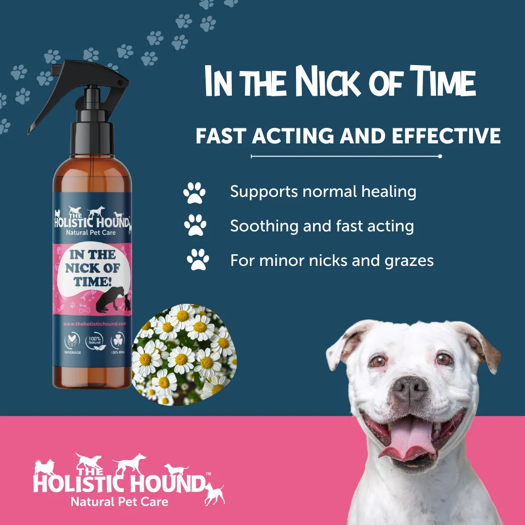 Holistic Hound In The Nick of Time (formerly Heal Me Quick)